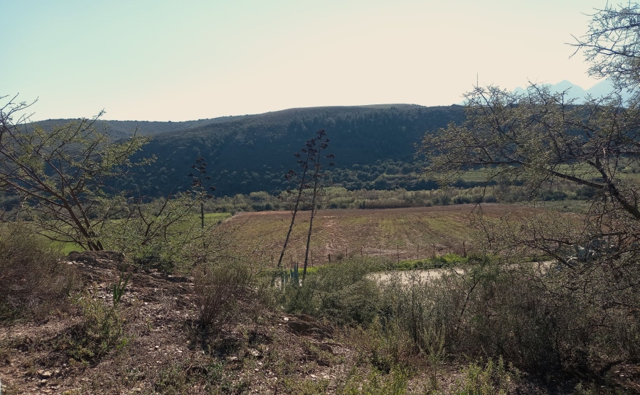 Commercial Property for Sale in George Rural Western Cape